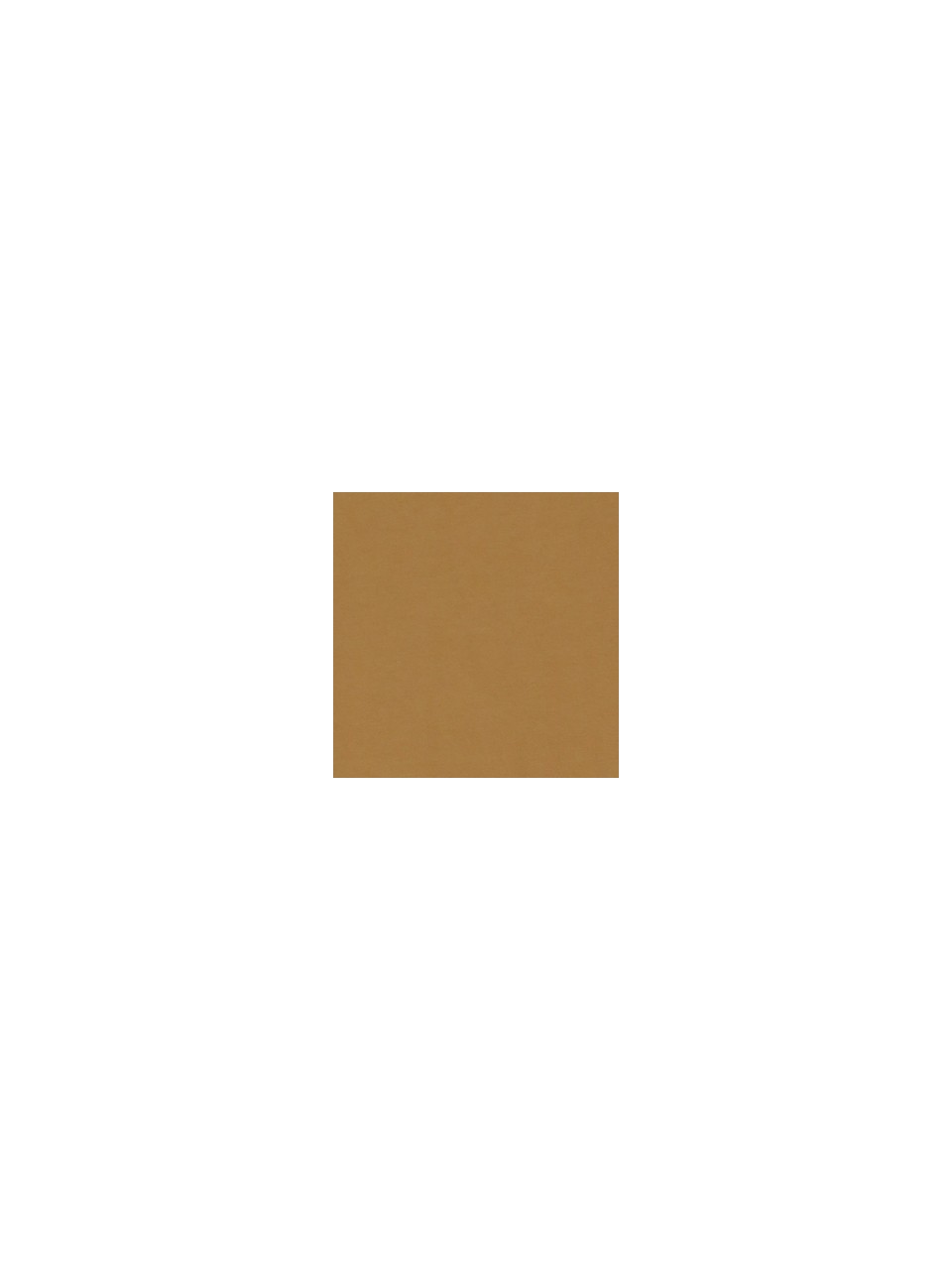 Please Femme t-shirt oversize coloris Bronze 2