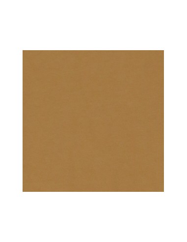 Please Femme t-shirt oversize coloris Bronze