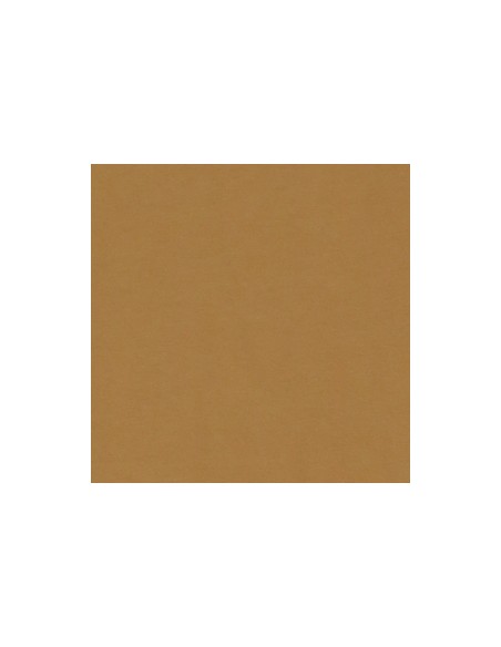 Please Femme t-shirt oversize coloris Bronze