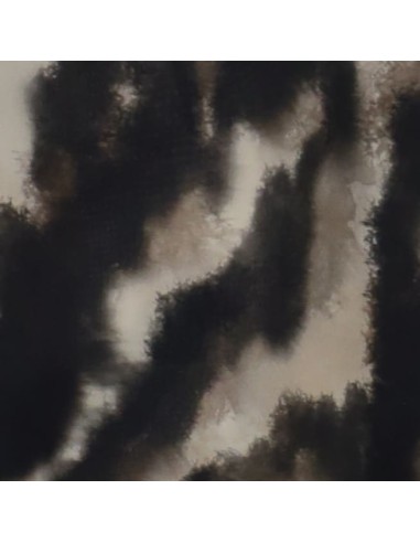 Chemisier Please à manches kimono et imprimé Zèbre