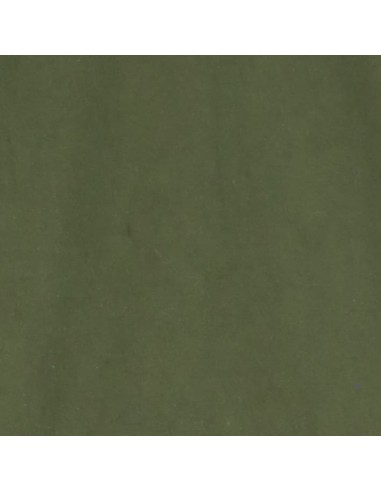 Please Pantalon a cordon coloris kaki