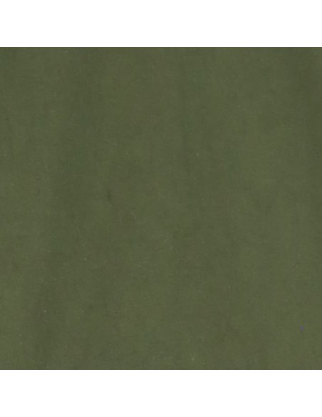 Please Pantalon a cordon coloris kaki