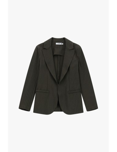 copy of Please Femme Blazer ajusté chocolat rayé