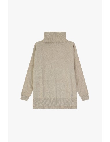 Please Femme pull col roulé en maille coloris Noisette