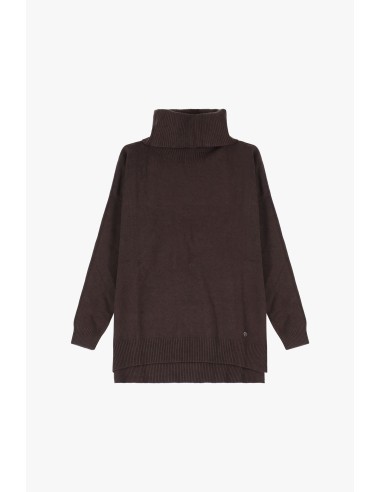 Please Femme pull col roulé en maille coloris Chocolat