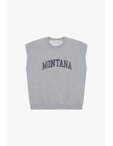 Please sweat-shirt gris sans manches
