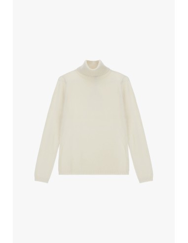 Please pull fin à col roulé, nombreux coloris